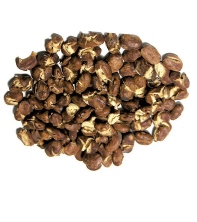 BORLOTTI BEANS - WFBOPD (1)