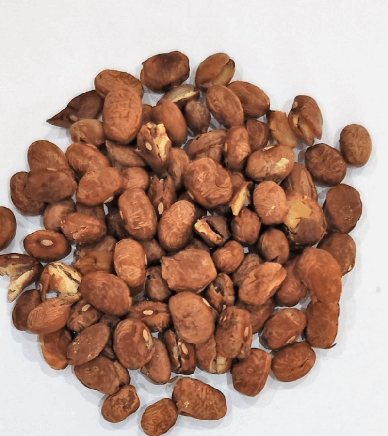 PINTO BEANS - IWFPIPD (1)